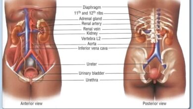 abdominal compartment syndrome