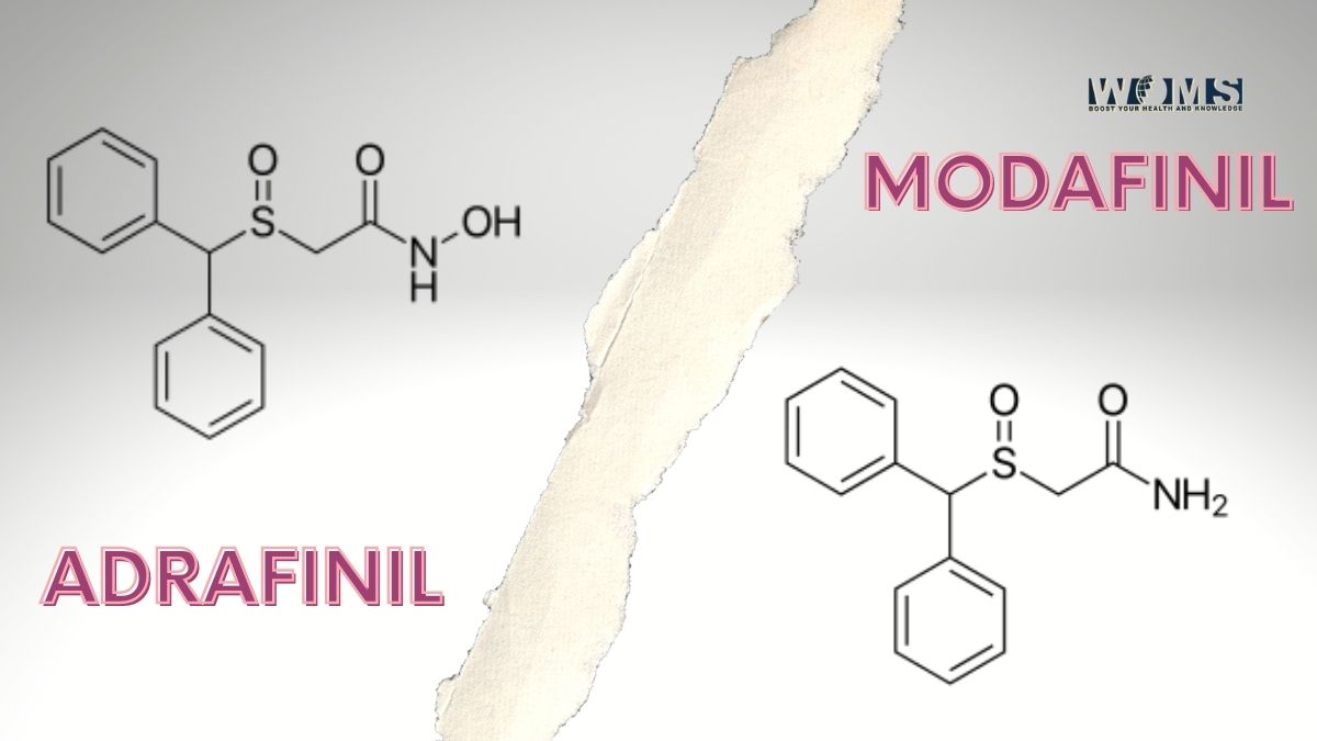 Adrafinil vs Modafinil