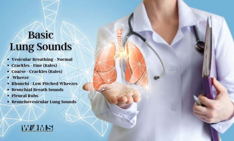 Basic Lung Sounds