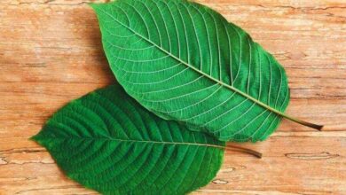 Best Kratom for Depression