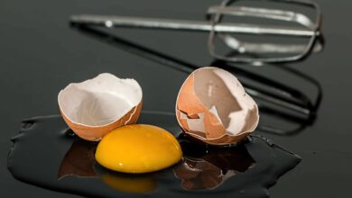 How crushed egg could help to repair bone damage?