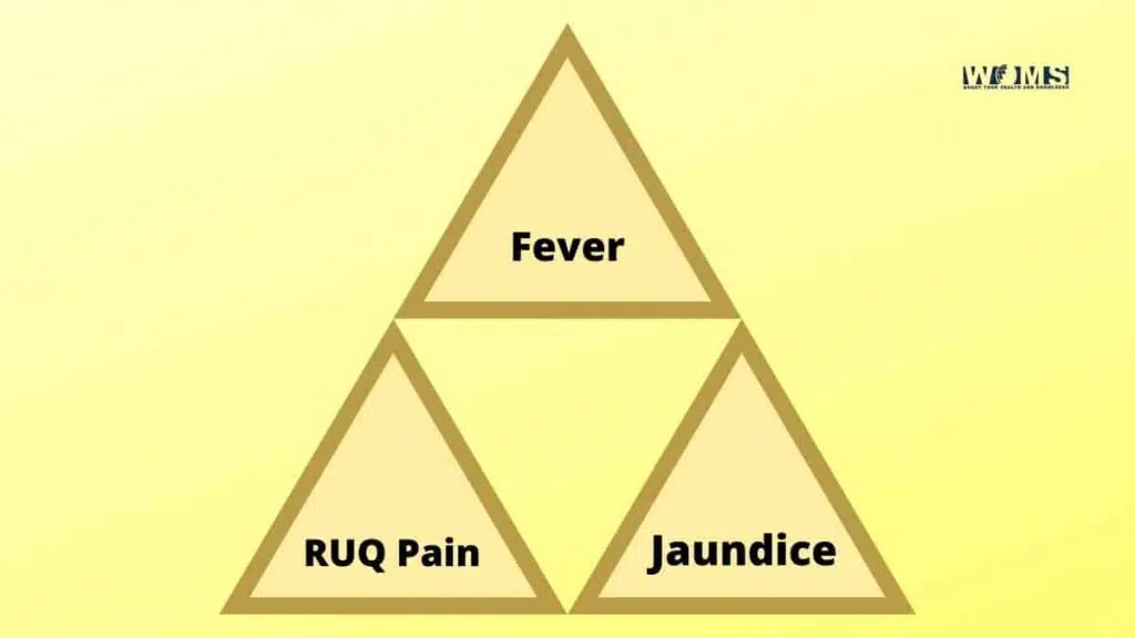 Charcot's triad