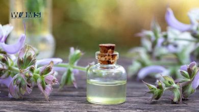 Clary Sage Oil Benefits for Hair