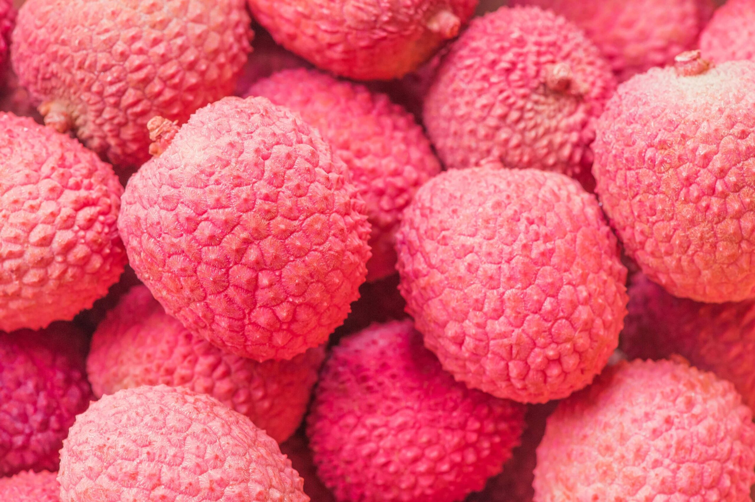 Why children die eating litchi?