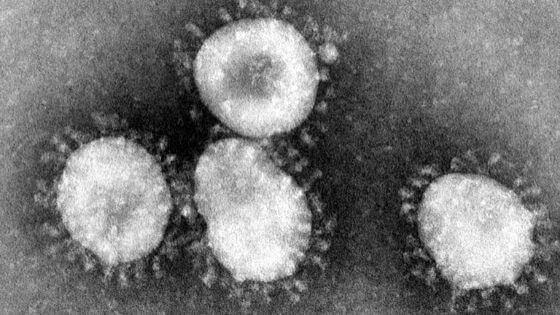 Coronavirus-2020