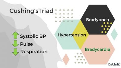 Cushing's Triad