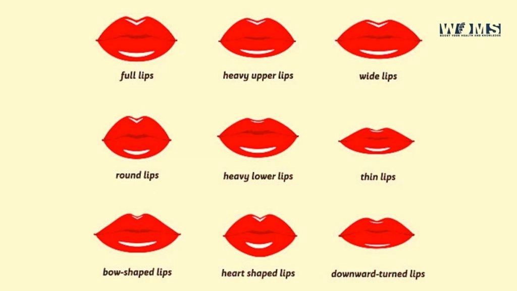 Different Types of Lips