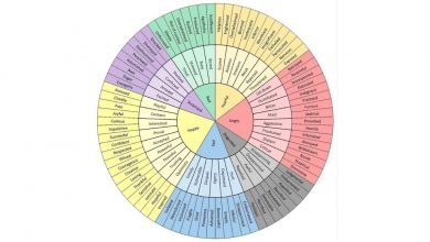 Emotion Wheel