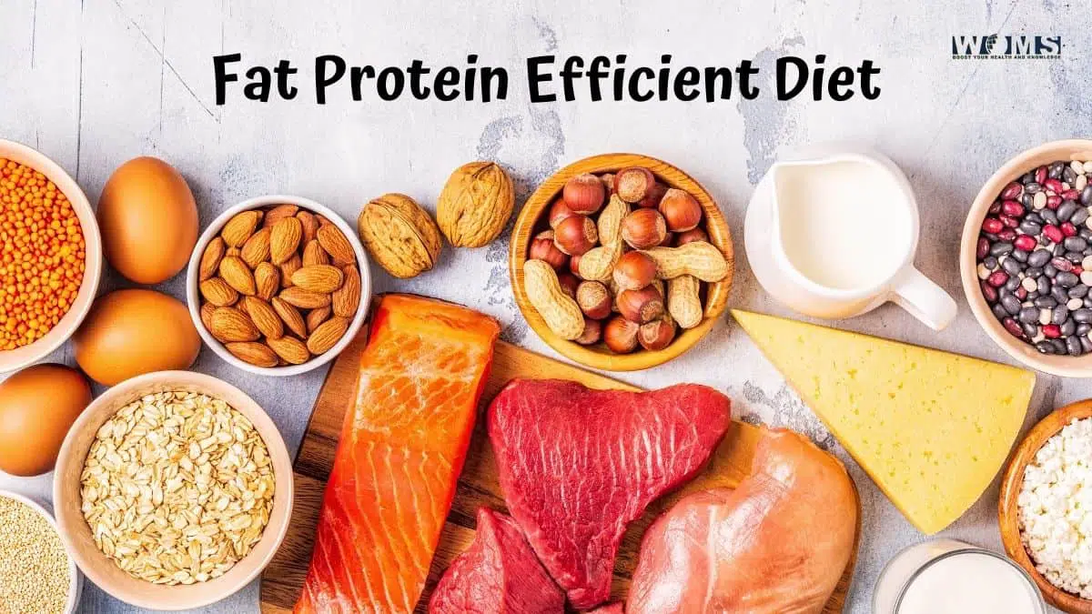 Fat Protein Efficient Diet