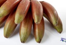 Health-benefits-of-red-bananas