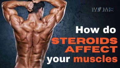 How Do Steroids Affect Your Muscles