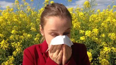 Allergies