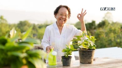 Indoor Activities for Seniors