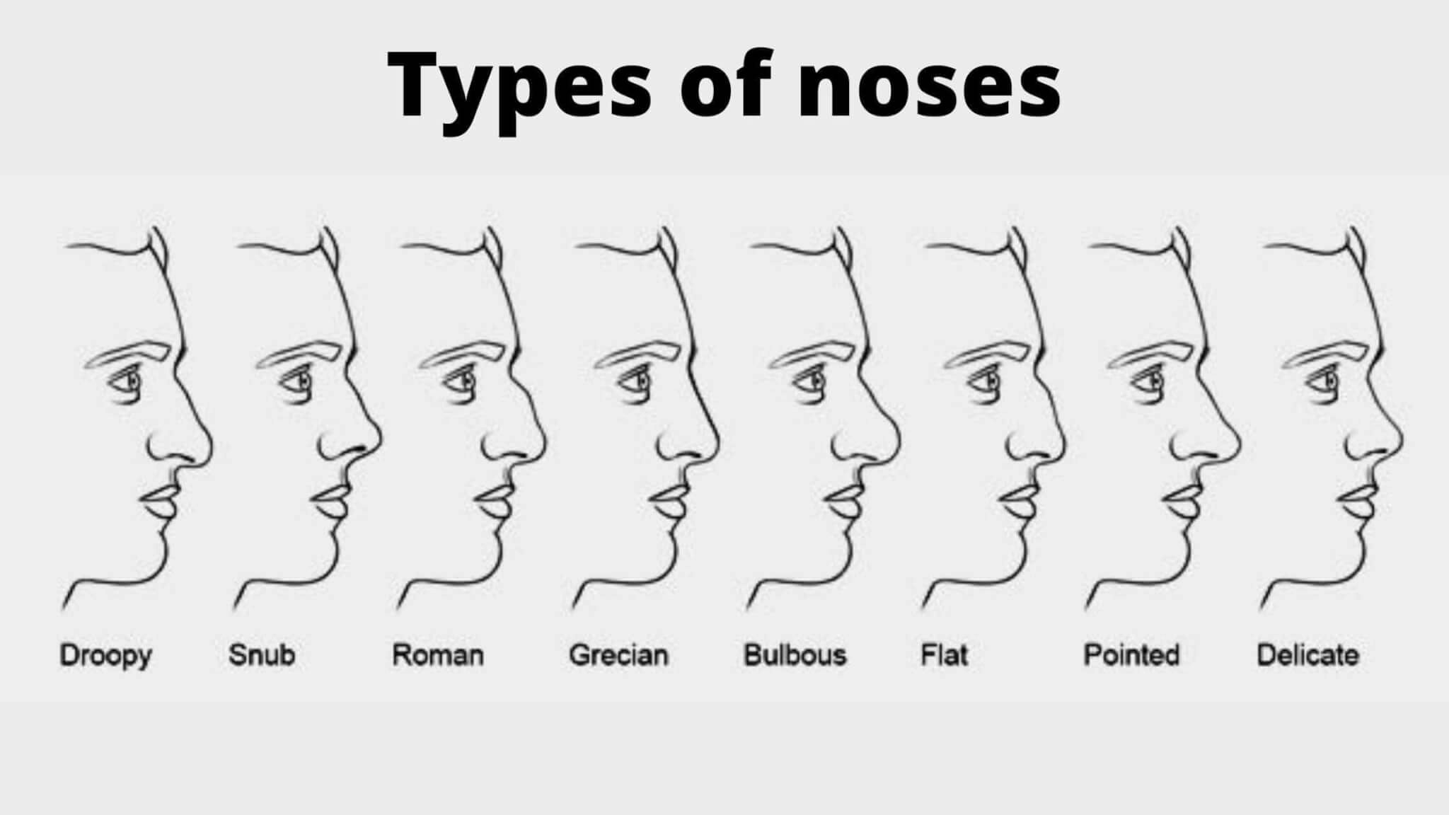 Types of noses