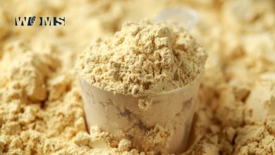 Vegan Protein Powders