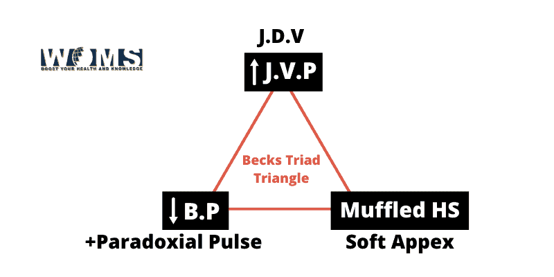 becks triad triangle